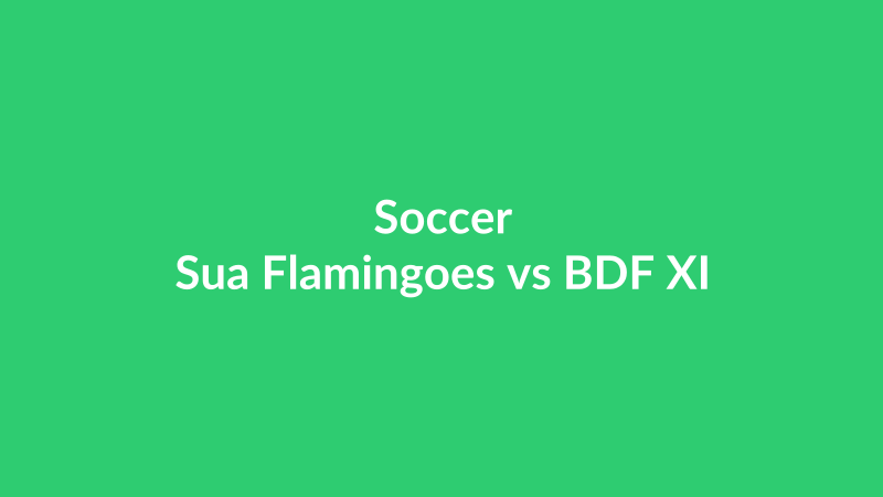 Sua Flamingoes vs BDF XI