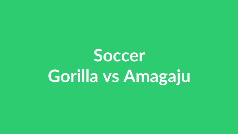 Gorilla vs Amagaju